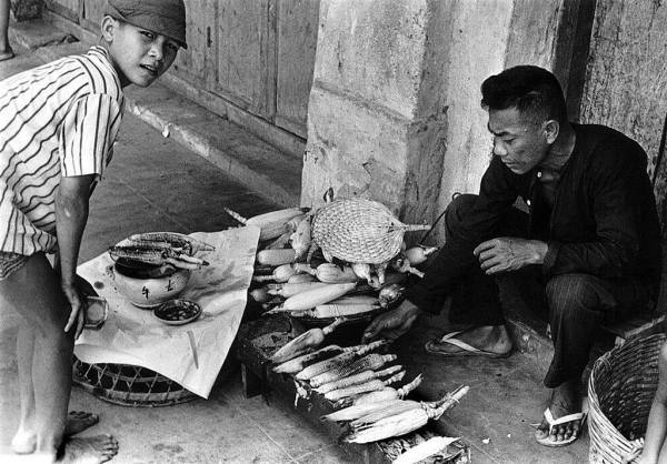 Saigon city quán hàng rong bắp nướng