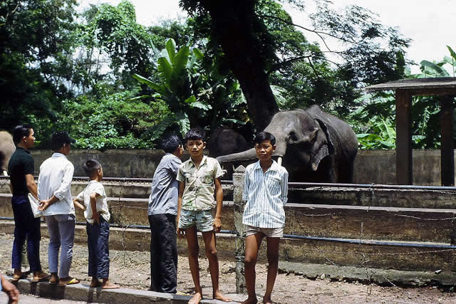 Sở thú Sài Gòn | Saigon history | Lịch sử Sài Gòn qua ảnh | Sài Gòn hòn ngọc Viễn Đông