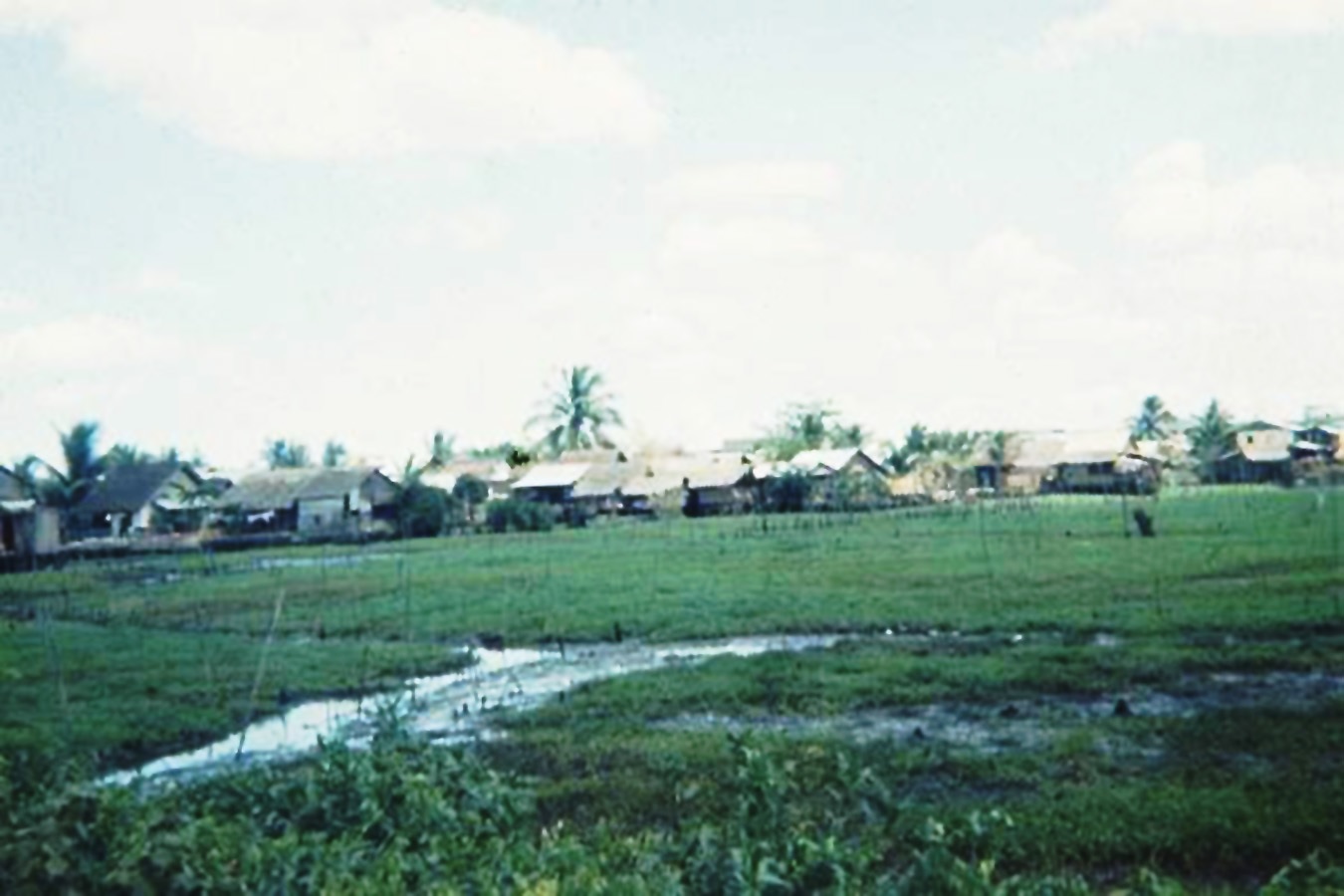 Cánh đồng rau muống trên rạch Nhiêu Lộc Saigon history | Lịch sử Sài Gòn qua ảnh | Sài Gòn hòn ngọc Viễn Đông